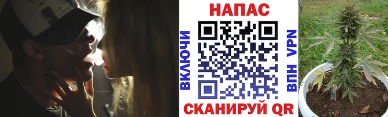 Каннабис Bruce Banner  где найти   Данилов 